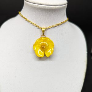 L'étoile d'or