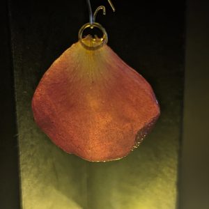 Meillande