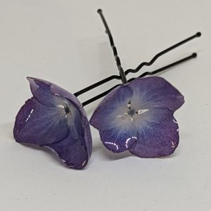 Barrettes à chignon
