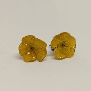 Bouton d'or