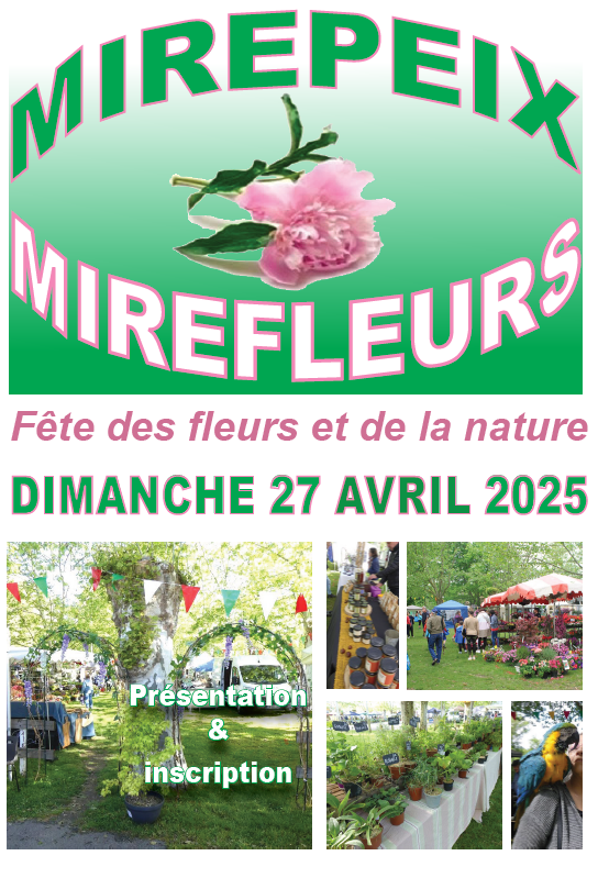 Marché aux fleurs de Mirepeix